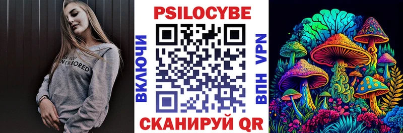 Галлюциногенные грибы Psilocybe  Поворино 